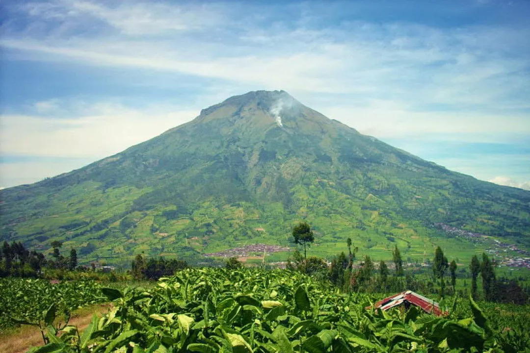 Kawasan Gunung Sindur - Gambar 1